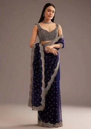 Midnight Reserve Organza Tissue Saree with Sequin & Cutdana Embroidery – Elite Glamour Portfolio