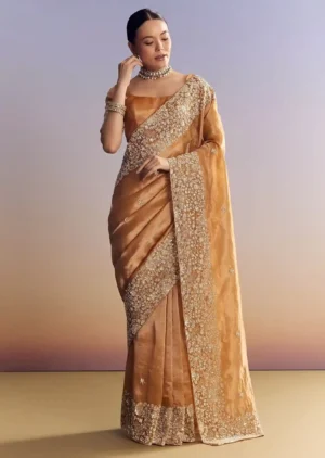 Imperial Gold-Orange Tissue Saree with Heavy Embroidered Border – Elite Trade & Trend Edition