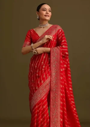 Regal Red Saree – A Timeless Ode to Heritage and Glamour